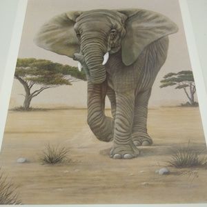 African Elephant By Harold Rigsby 256/975 Signed